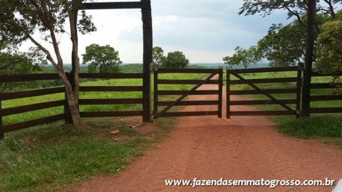 Fazenda Acorizal 5