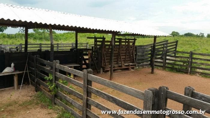 Fazenda Acorizal 6