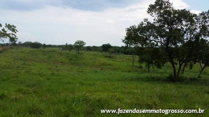 Fazenda Acorizal 12
