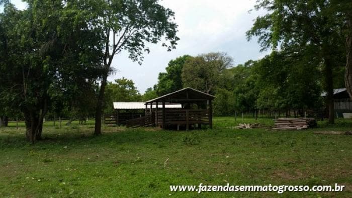 Fazenda Acorizal 13
