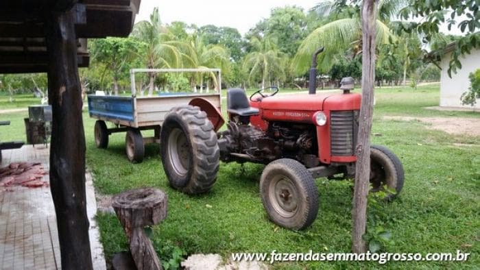 Fazenda Acorizal 44