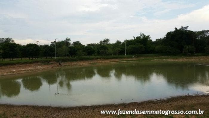 Fazenda Acorizal 45