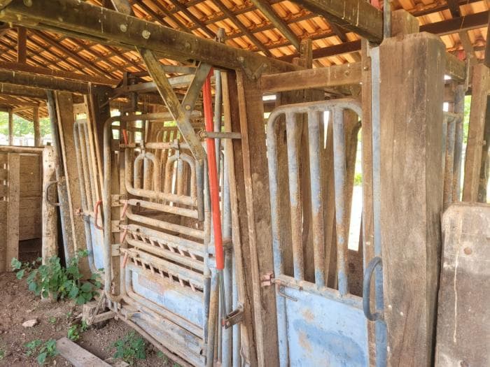 Fazenda em acorizal 5