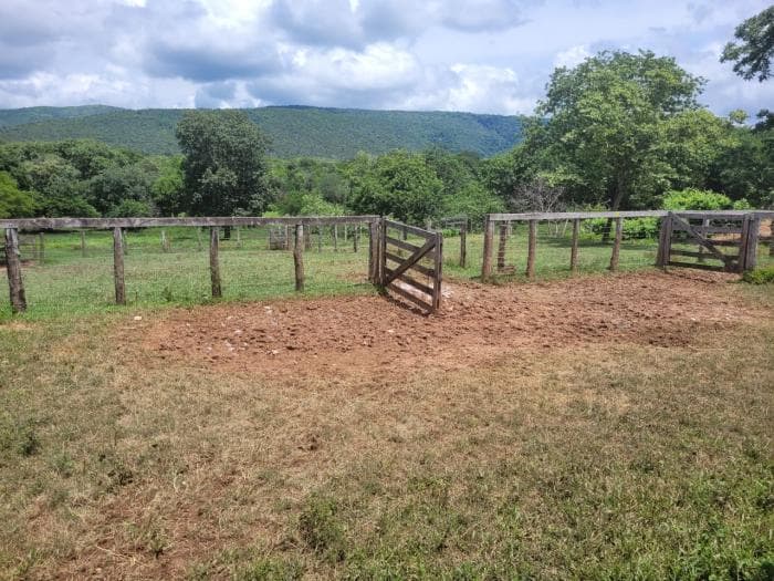 Fazenda em acorizal 16