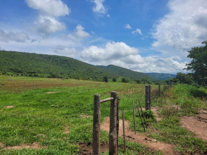 Fazenda em acorizal 15