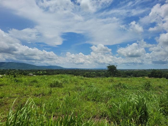 Fazenda em acorizal 20