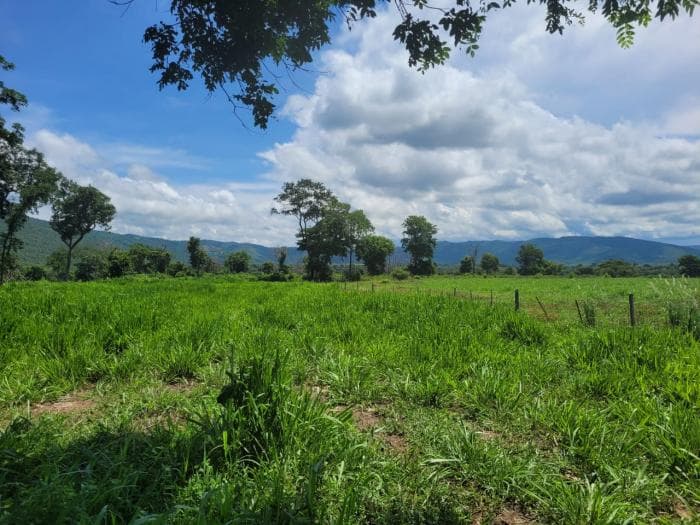 Fazenda em acorizal 27
