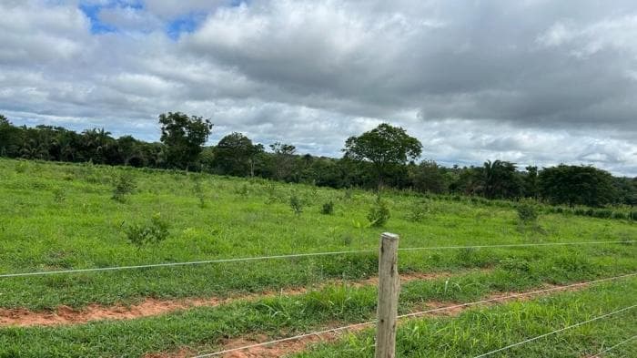 Fazenda em Agua fria 3