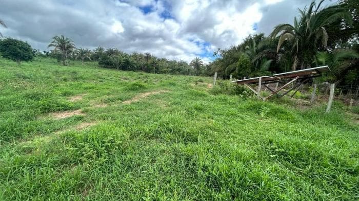 Fazenda em Agua fria 10