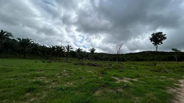 Fazenda em Agua fria 14