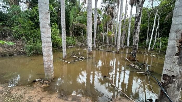 Fazenda em Agua fria 12