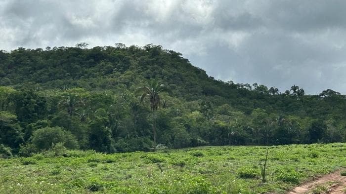 Fazenda em Agua fria 16
