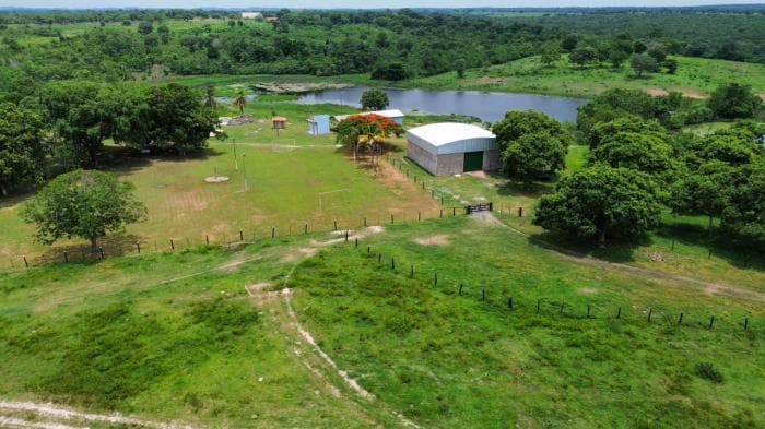 Fazenda a venda em Nossa Senhora do Livramento 4