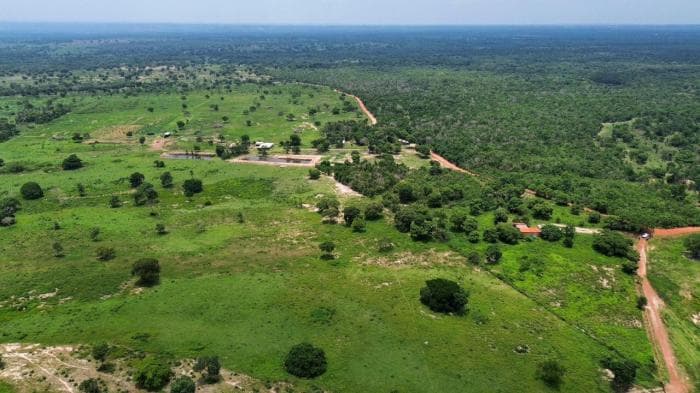 Fazenda a venda em Nossa Senhora do Livramento 6