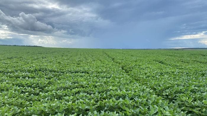 Fazenda a venda em Paranatinga 4