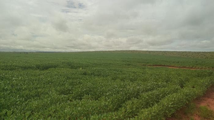 Fazenda a venda em Paranatinga 6