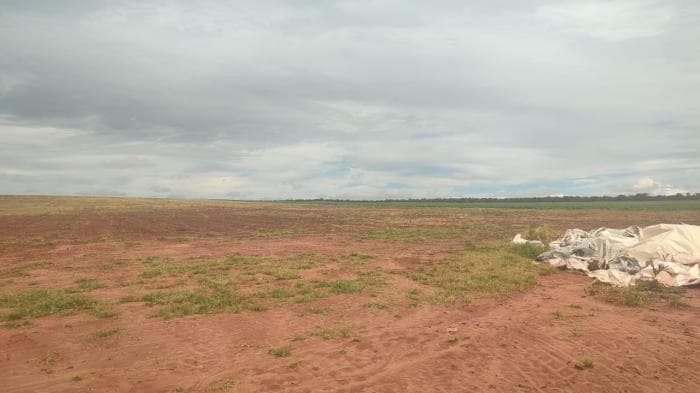 Fazenda a venda em Paranatinga 8