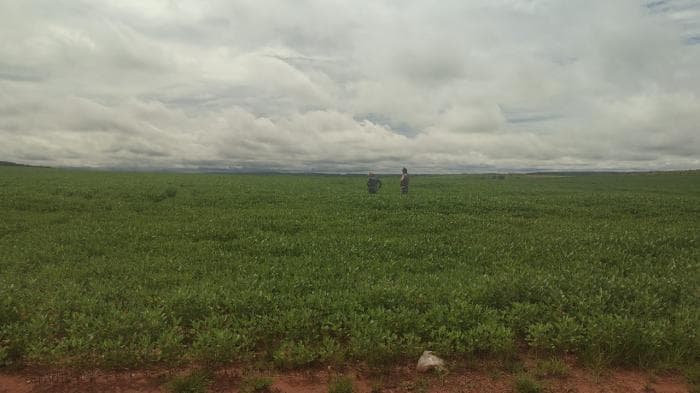Fazenda a venda em Paranatinga 9