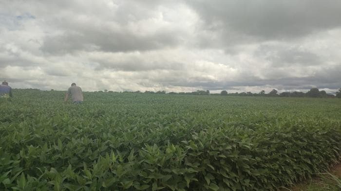 Fazenda a venda em Paranatinga 10