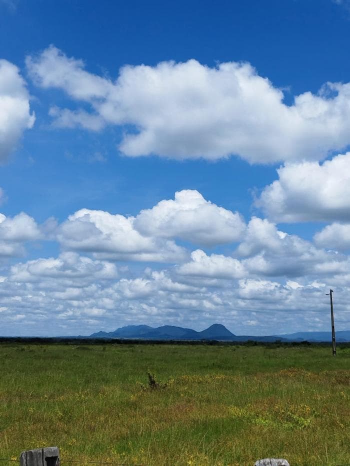 Fazenda a venda em Jangada 3