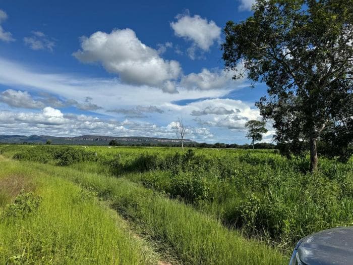 Fazenda a venda em Cuiabá 7