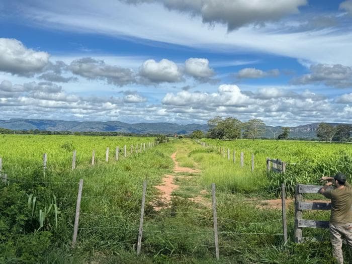 Fazenda a venda em Cuiabá 12