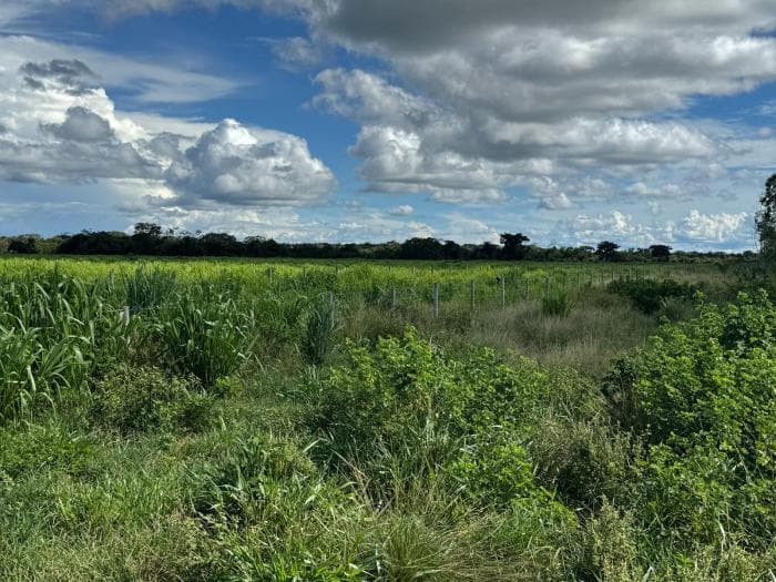 Fazenda a venda em Cuiabá 15