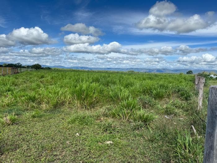 Fazenda a venda em Cuiabá 21