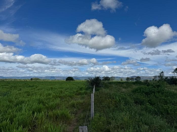 Fazenda a venda em Cuiabá 22