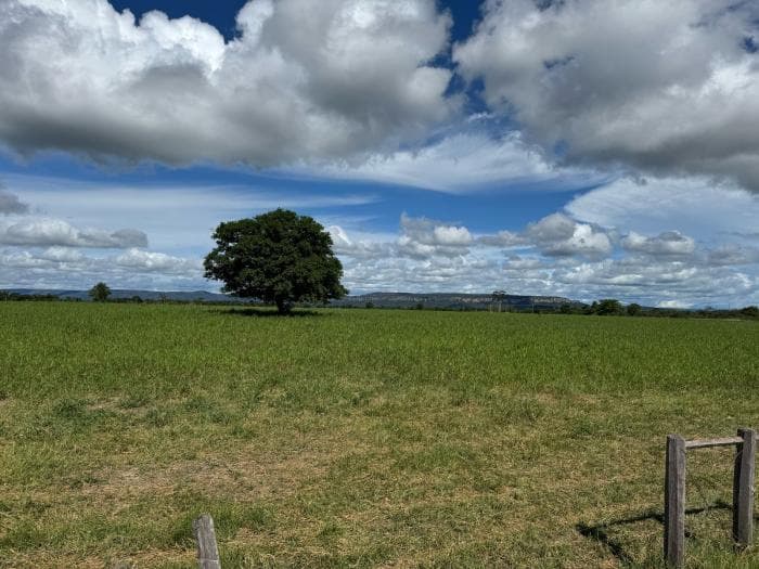 Fazenda a venda em Cuiabá 23