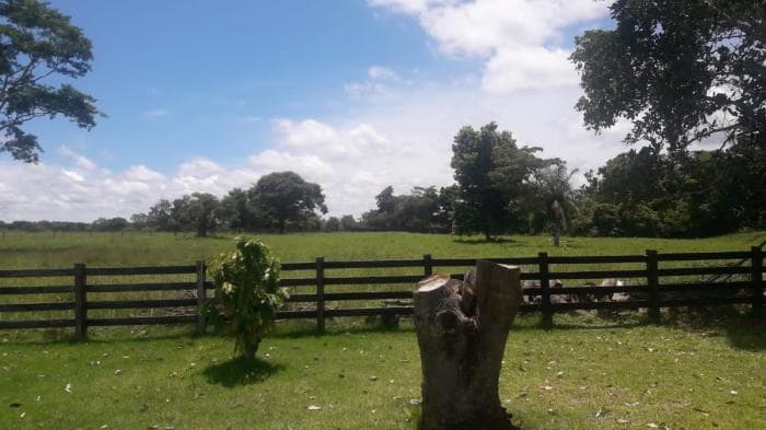 Fazenda a venda em rio Manso 7