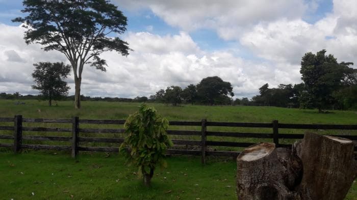 Fazenda a venda em rio Manso 6