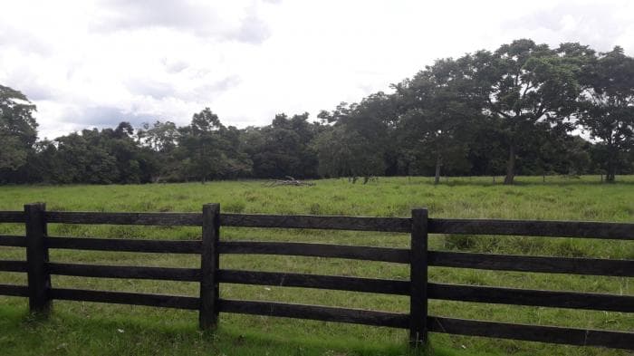 Fazenda a venda em rio Manso 3