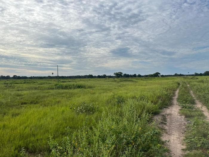 Fazenda a venda em Rondonópolis 6