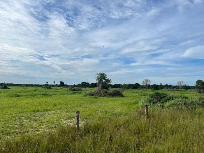 Fazenda a venda em Rondonópolis 8