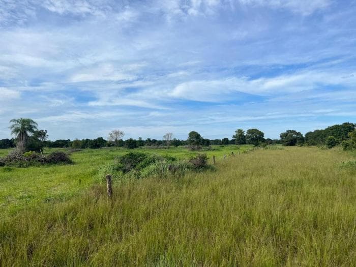 Fazenda a venda em Rondonópolis 11