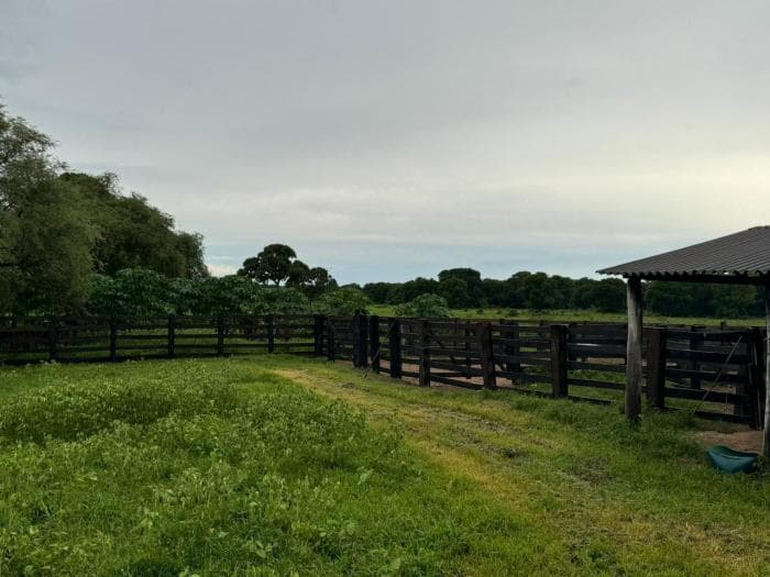 Fazenda a venda em Rondonópolis 12
