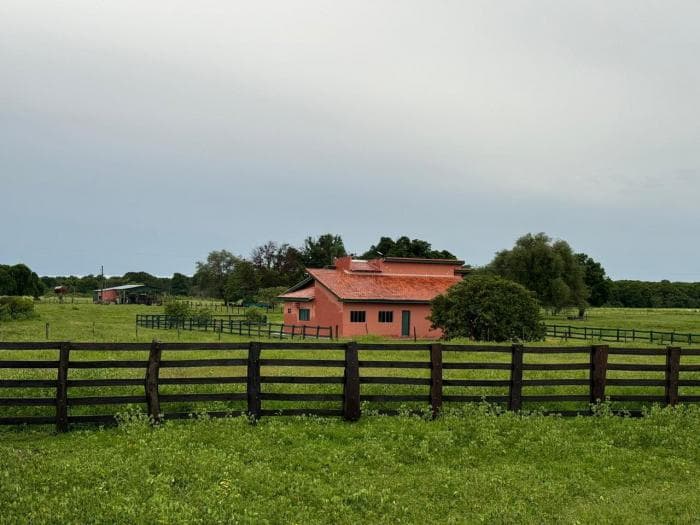 Fazenda a venda em Rondonópolis 18