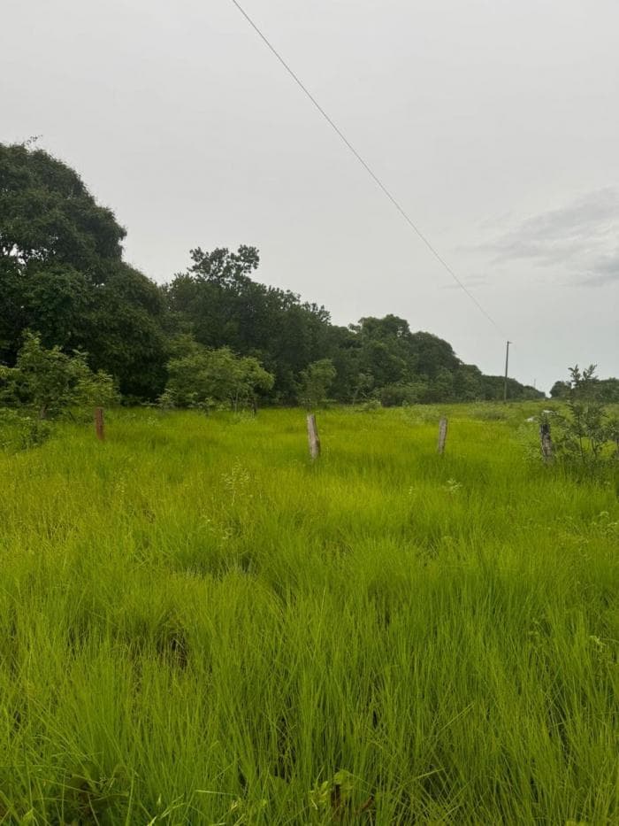 Fazenda a venda em Rondonópolis 22