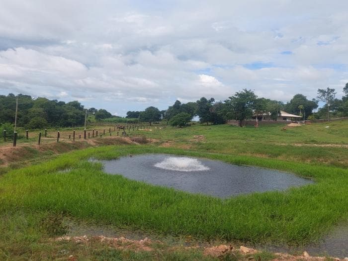 fazenda a venda em Acorizal 5