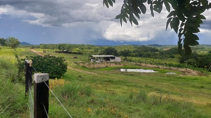 fazenda a venda em Acorizal 6