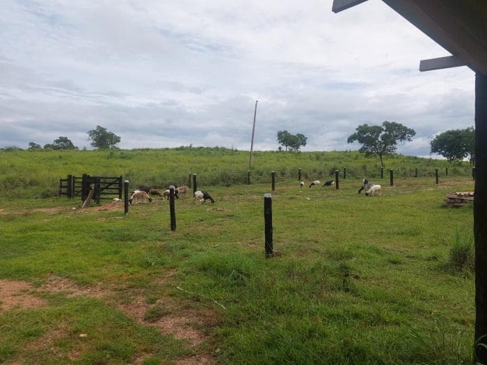 fazenda a venda em Acorizal 8