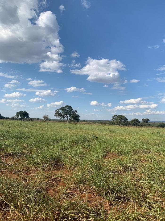 Fazenda em Acorizal 5