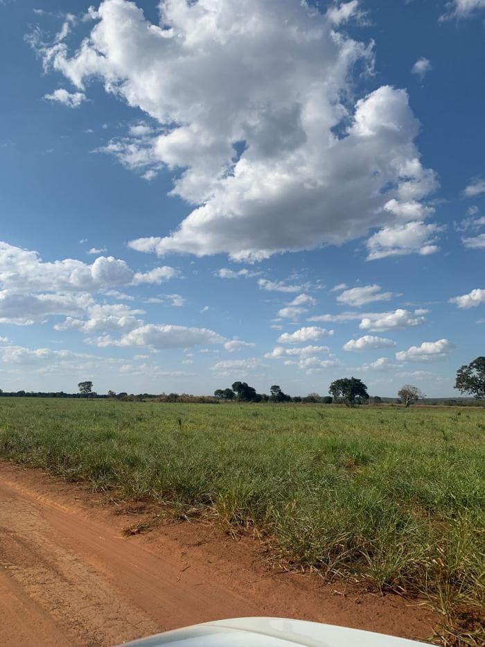 Fazenda em Acorizal 17