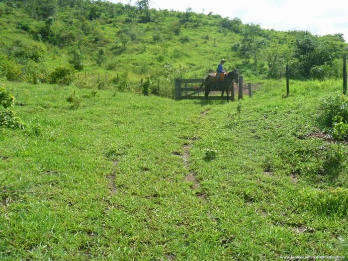 Pedra Preta 50