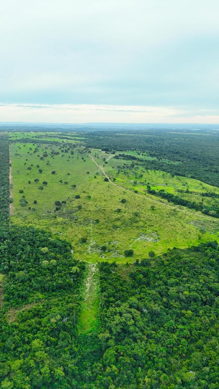Fazenda em Manso 5