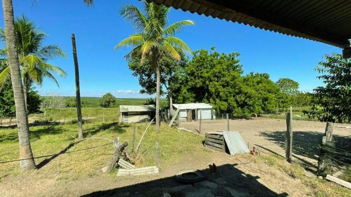 Fazenda em Manso 11