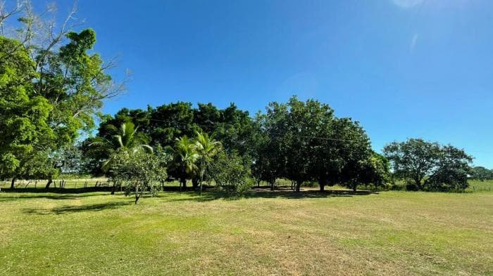 Fazenda em Manso 10