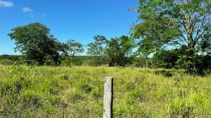 Fazenda em Manso 19