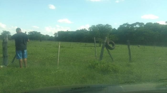 Fazenda em Acorizal 5
